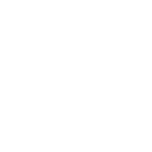 Bonjour Amour Logo